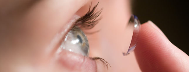 Optik Maurer